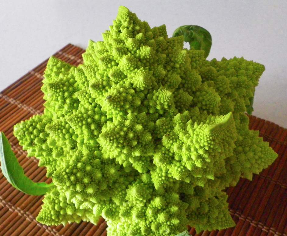 Le chou romanesco