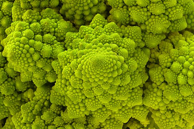 Le chou romanesco